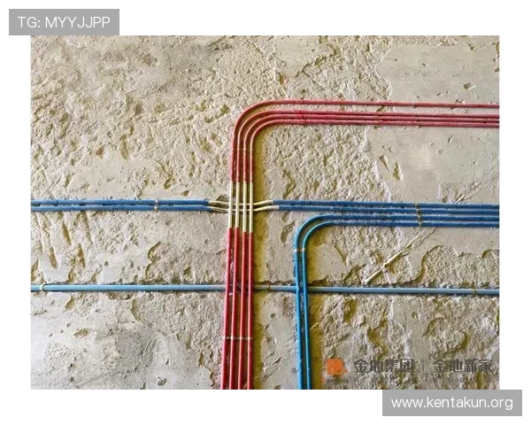 千亿官网登录入口安全登录流程详解帮助玩家避免账号被盗的实用建议