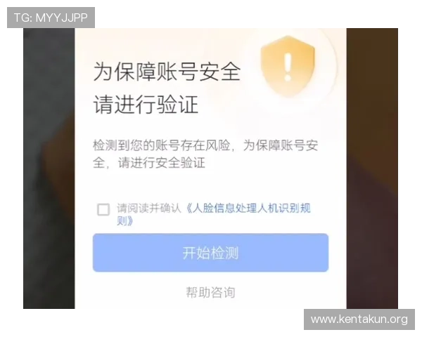 千亿球友会登录入口安全验证流程详解,保障用户账号安全与顺畅登录体验